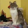 Отзыв от Вероника Гущина